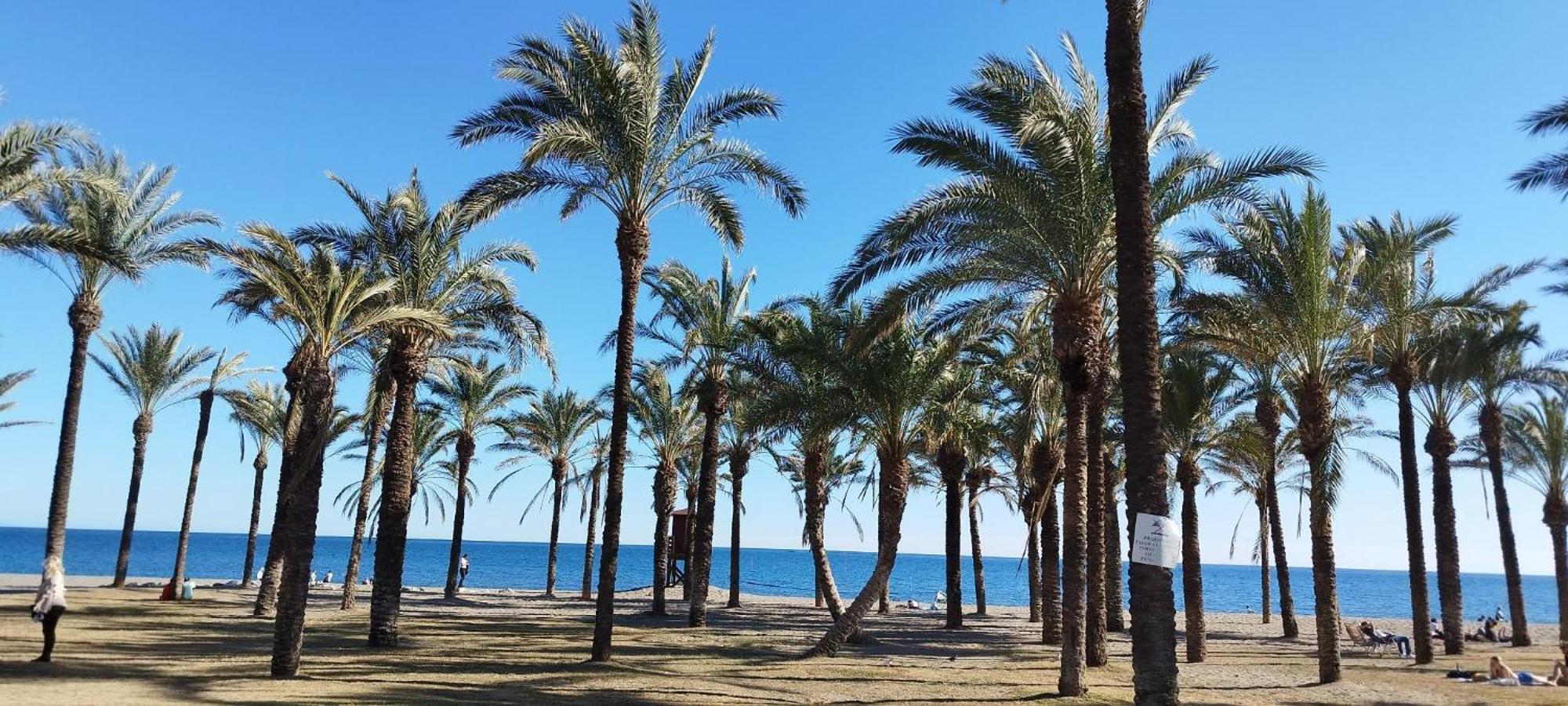 San Antonio - Beach, Pool And Terrace Torremolinos Luaran gambar