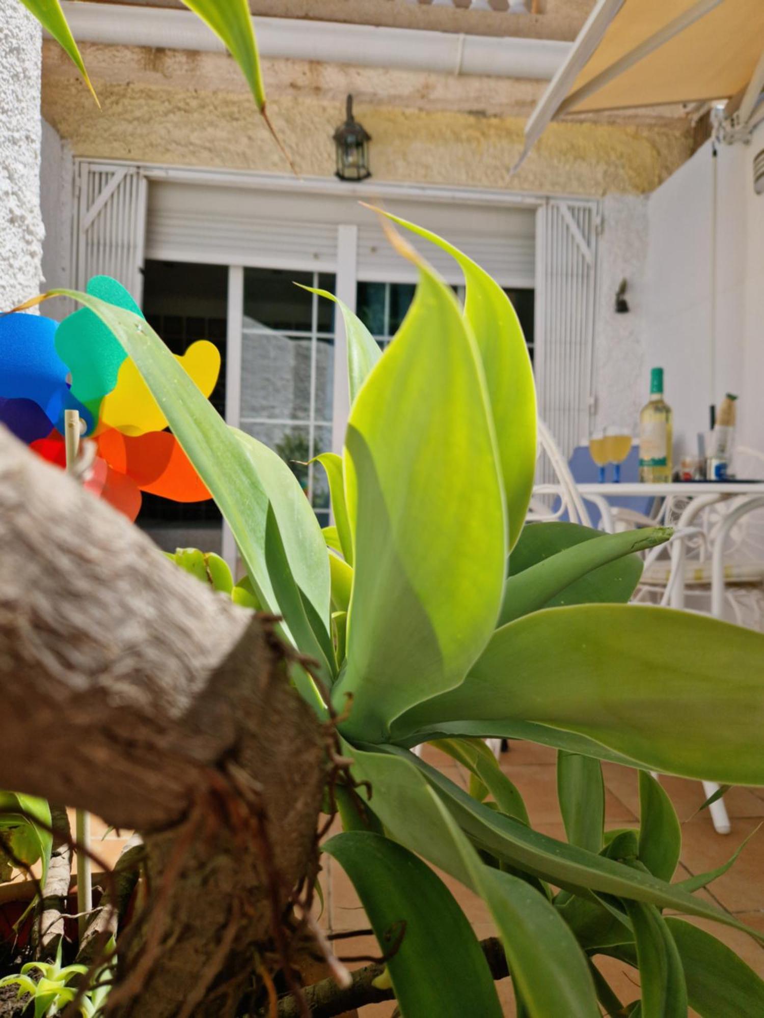 San Antonio - Beach, Pool And Terrace Torremolinos Luaran gambar